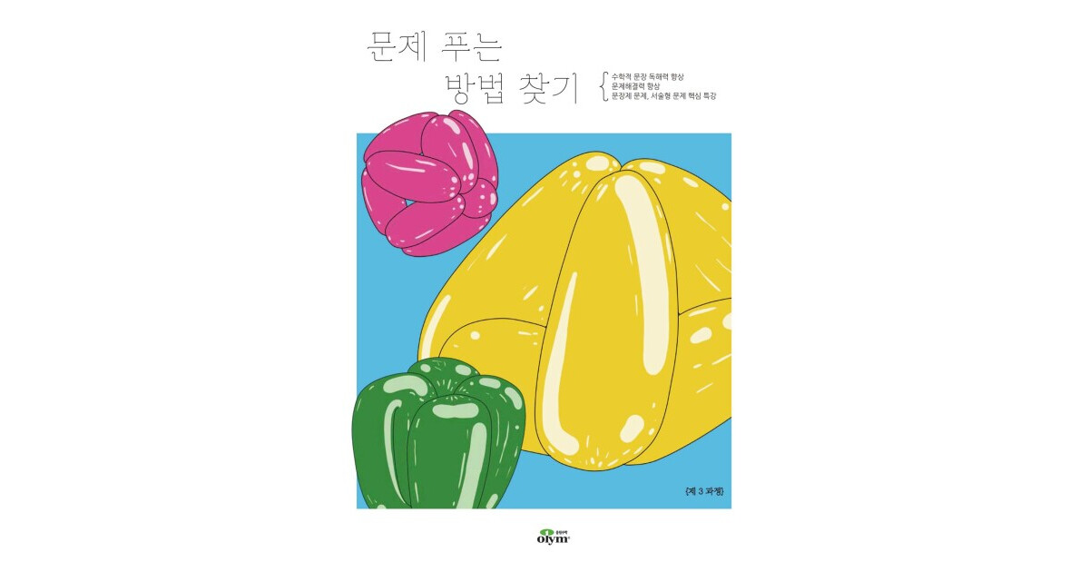 문제푸는 방법찾기 문제 푸는 방법 찾기 3과정 표지